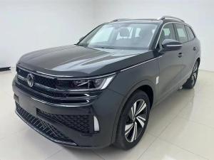 volkswagen tavendor 2023 Petrol