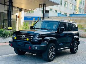 tank 300 2023 Petrol