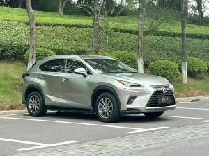 lexus nx 2018 Petrol