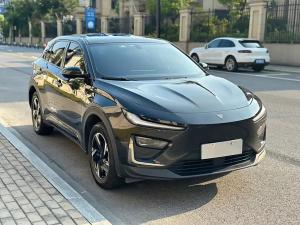 neta x 2024 Electric