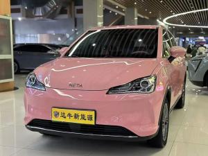 neta v 2022 Electric