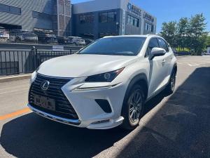 lexus nx 2019 Petrol