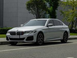 bmw 5 series 2023 Petrol