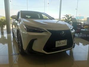 lexus nx 2024 Petrol