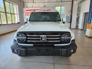 tank 300 2023 Petrol