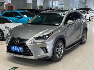 lexus nx 2019 Petrol