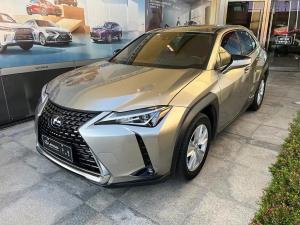lexus ux 2021 Hybrid