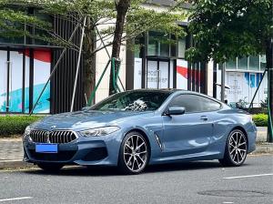 bmw 8 series 2021 Petrol