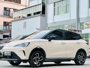 neta aya 2024 Electric