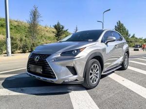 lexus nx 2020 Petrol