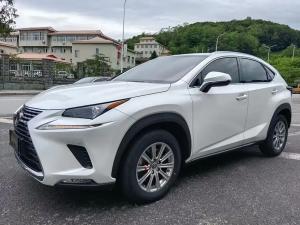 lexus nx 2019 Petrol
