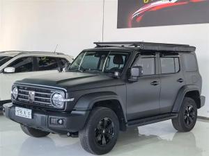 tank 300 2023 Petrol