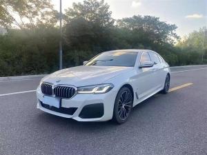 bmw 5 series 2021 Petrol