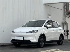 neta v 2021 Electric