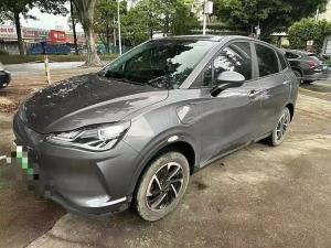 neta v 2021 Electric