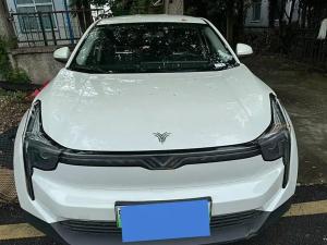 neta u 2022 Electric