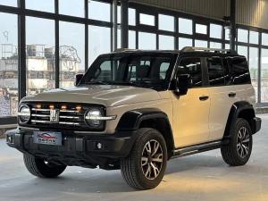 tank 300 2022 Petrol