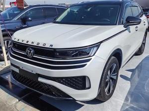 Volkswagen Tavendor 2024 Petrol