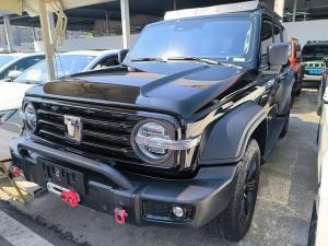 tank 300 2022 Petrol
