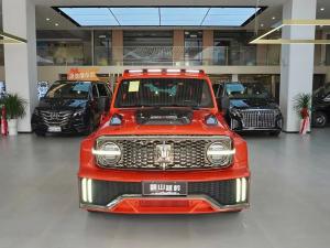 tank 300 2024 Petrol