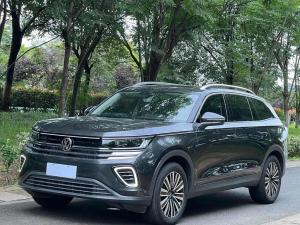 Volkswagen Tavendor 2024 Petrol