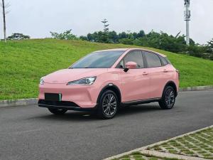 neta v 2022 Electric