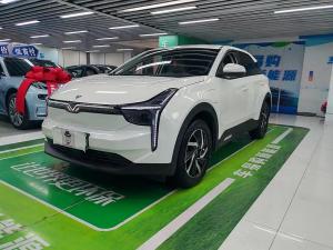 neta u 2020 Electric