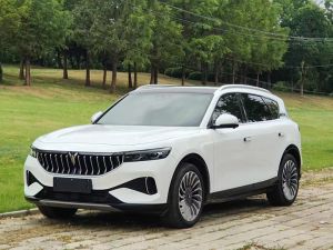 voyah free 2022 REEV