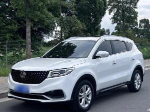 Dongfeng FENGON FENGON 580Pro 2020 Petrol