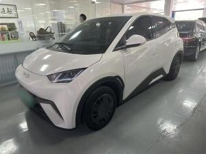 byd seagull 2024 Electric