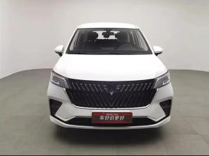 wuling victory 2021 Petrol