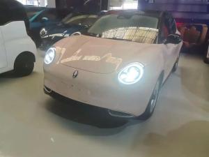 ora good cat 2022 Electric