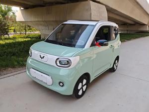wuling hongguang mini ev 2024 Electric
