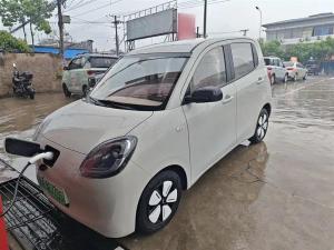 wuling hongguang mini ev 2025 Electric
