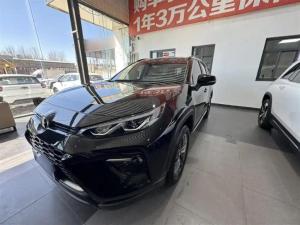 toyota wildlander 2023 Petrol