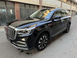 hongqi hs7 2020 Petrol