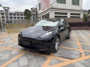 tesla model y 2023 Electric