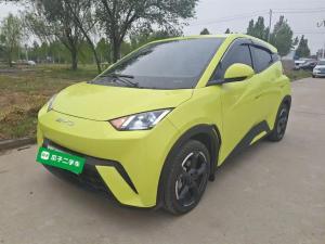 byd seagull 2023 Electric