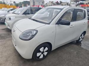 wuling hongguang mini ev 2025 Electric