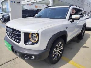 haval dargo 2021 Petrol