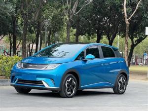 byd dolphin 2022 Electric