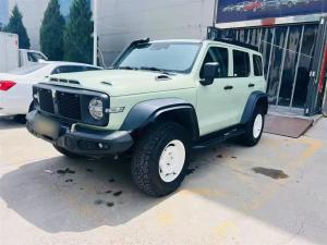 tank 300 2024 Petrol