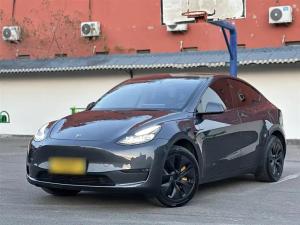 tesla model y 2023 Electric