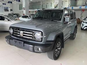 tank 300 2023 Petrol