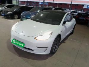 tesla model 3 2020 Electric