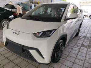 byd seagull 2025 Electric