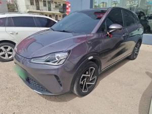 neta aya 2024 Electric