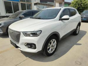 haval h2s 2019 Petrol