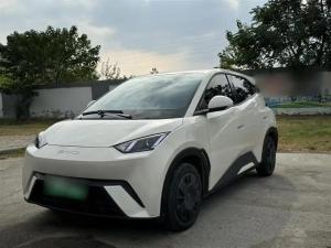 byd seagull 2023 Electric