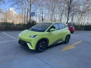 byd seagull 2023 Electric